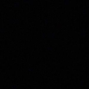 Meet your Posher, Payton